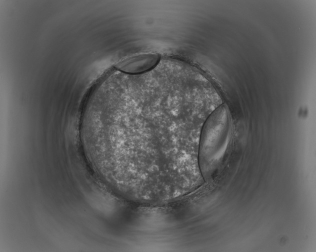 X0000091860679200710031702