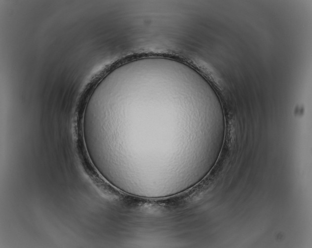 X0000091860680200710031701