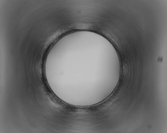 X0000091860682200710031701