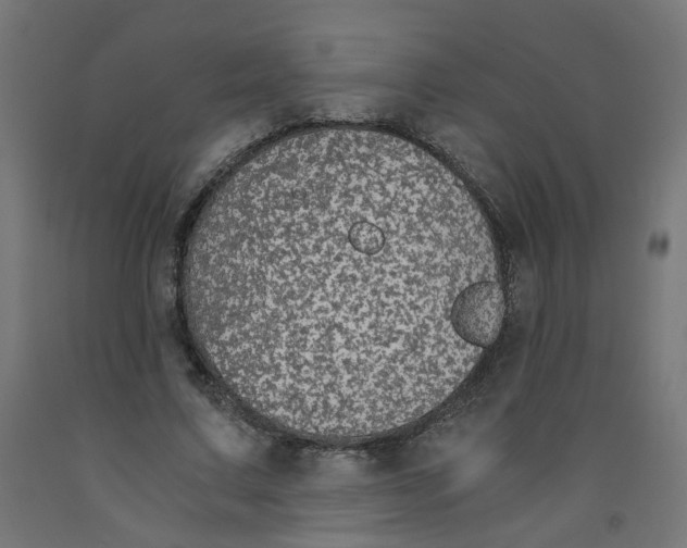 X0000091860683200710031701