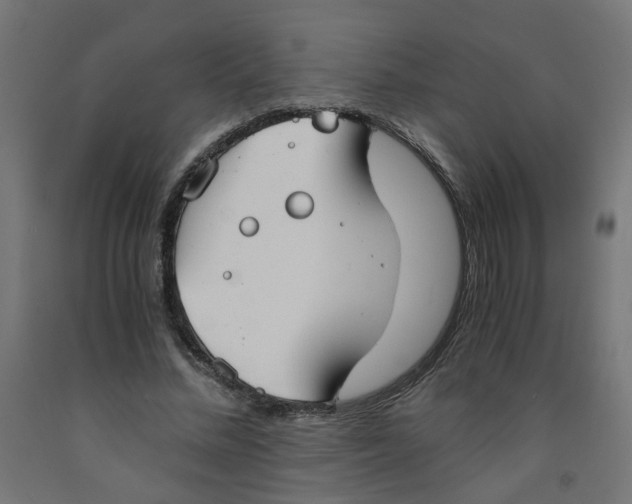 X0000091860684200710031701