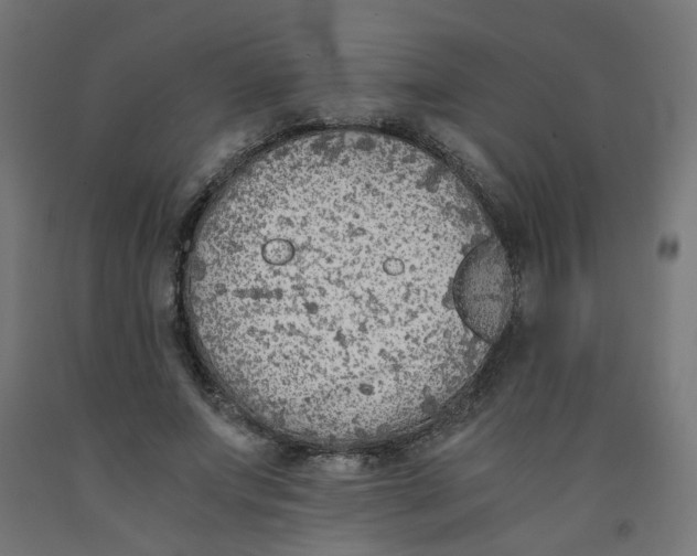 X0000091860687200710031701