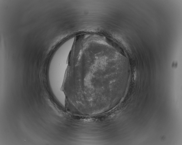 X0000091860688200710031701