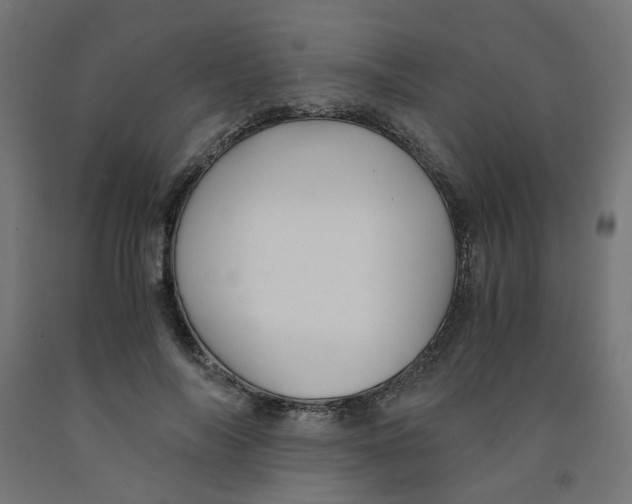 X0000091860694200710031701