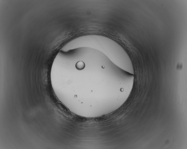 X0000091860696200710031701