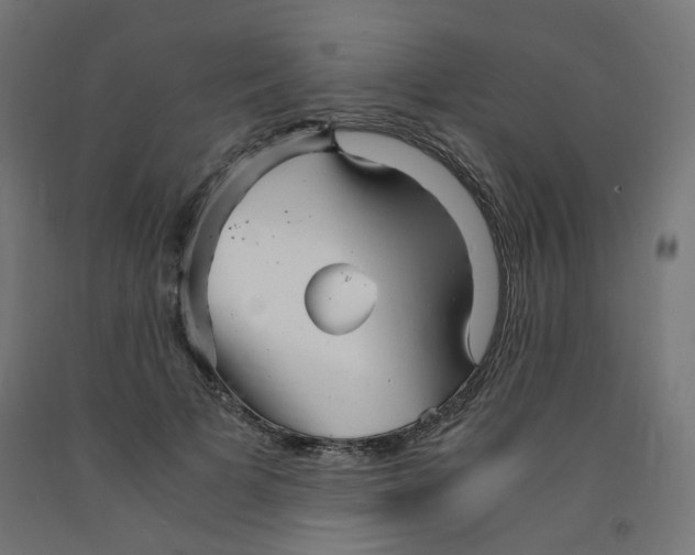 X0000091860697200710031701