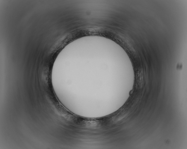 X0000091860698200710031701