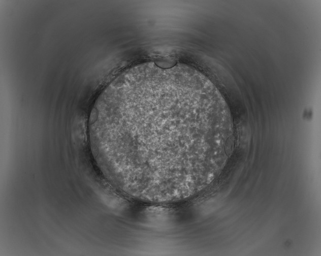 X0000091860699200710031701