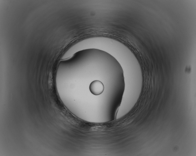 X0000091860700200710031701