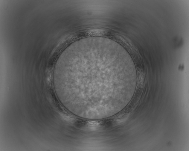 X0000091860701200710031701