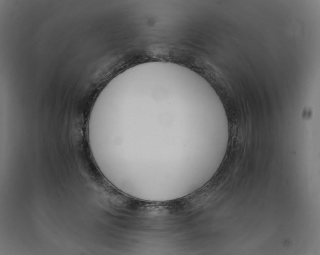 X0000091860702200710031701