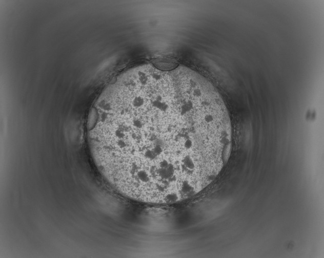 X0000091860703200710031701