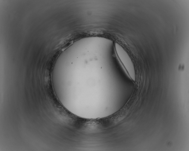 X0000091860704200710031701