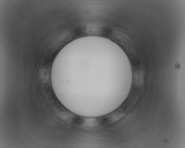 X0000091860705200710031701