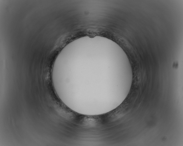 X0000091860706200710031701