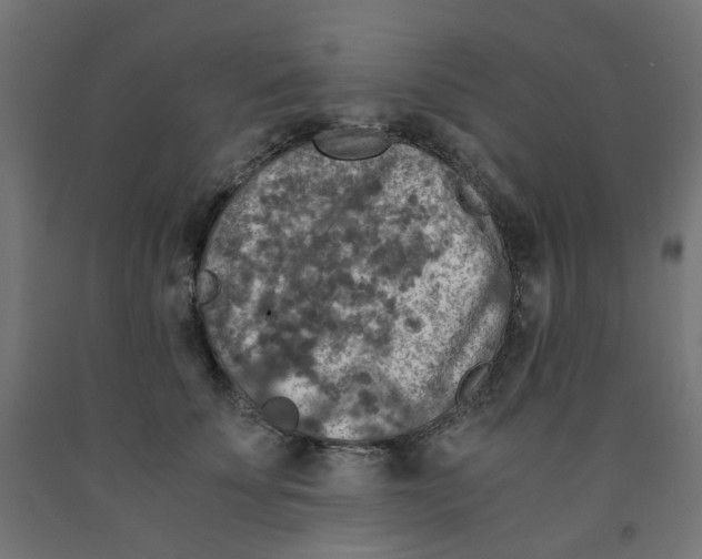 X0000091860707200710031701