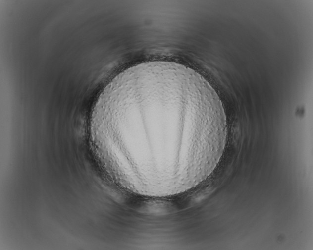 X0000091860708200710031701