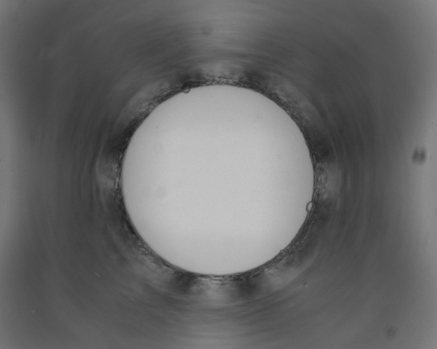 X0000091860713200710031701