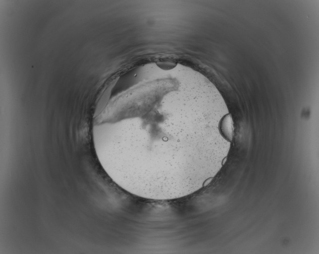 X0000091860715200710031701