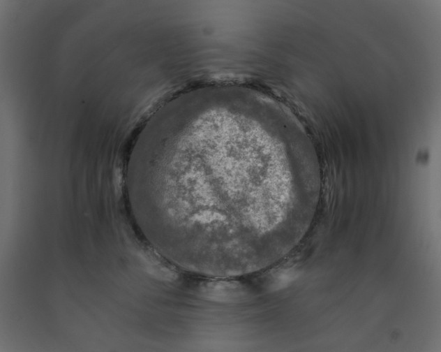 X0000091860716200710031701