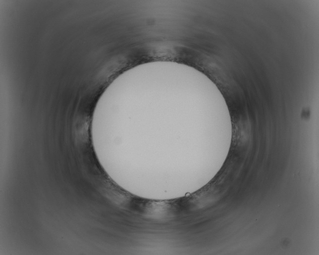 X0000091860717200710031701