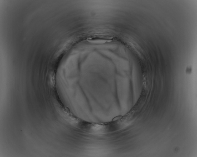 X0000091860718200710031701