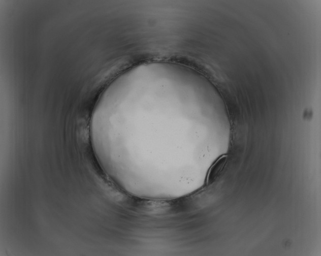 X0000091860719200710031701