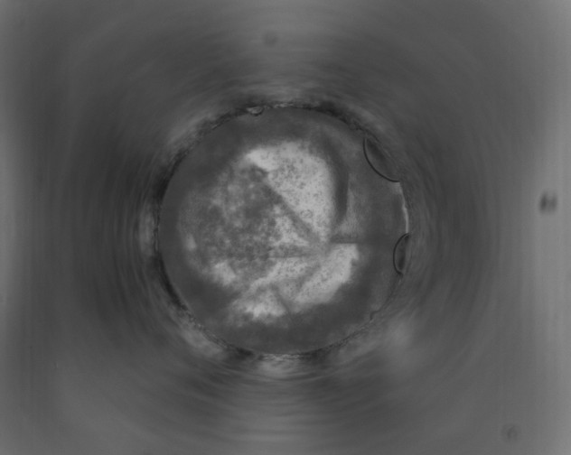 X0000091860720200710031701