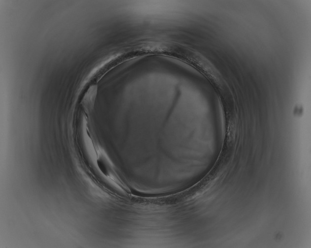 X0000091860722200710031700