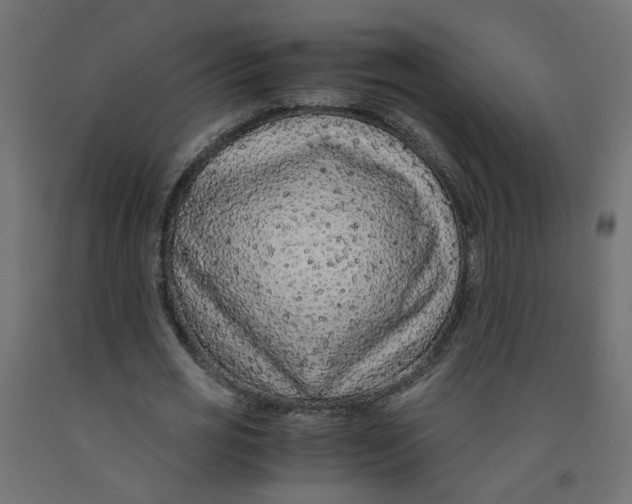 X0000091860725200710031700