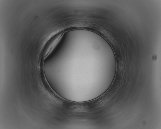 X0000091860727200710031700