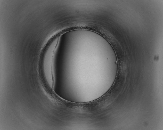 X0000091860728200710031700