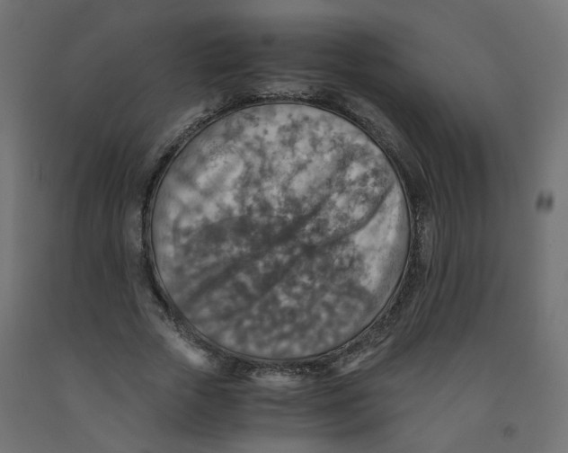 X0000091860729200710031700