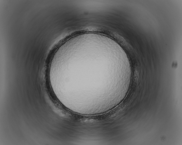 X0000091860730200710031700