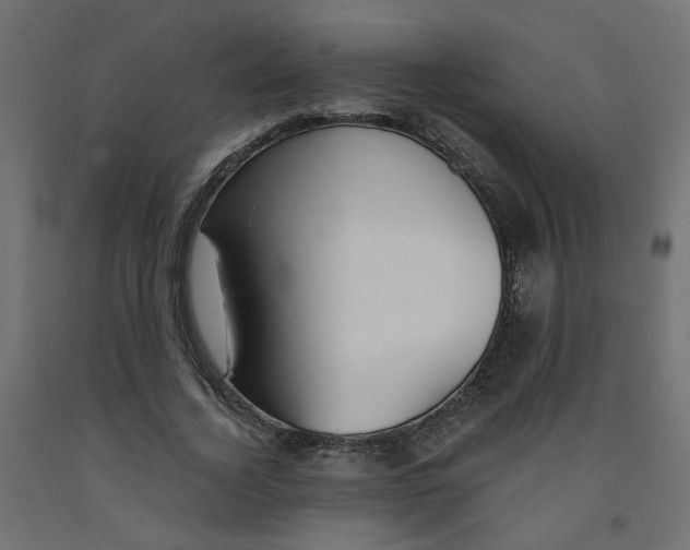 X0000091860732200710031701