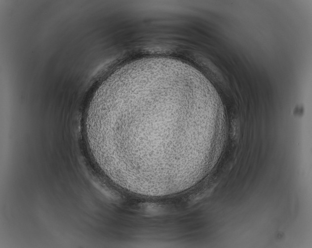 X0000091860733200710031701