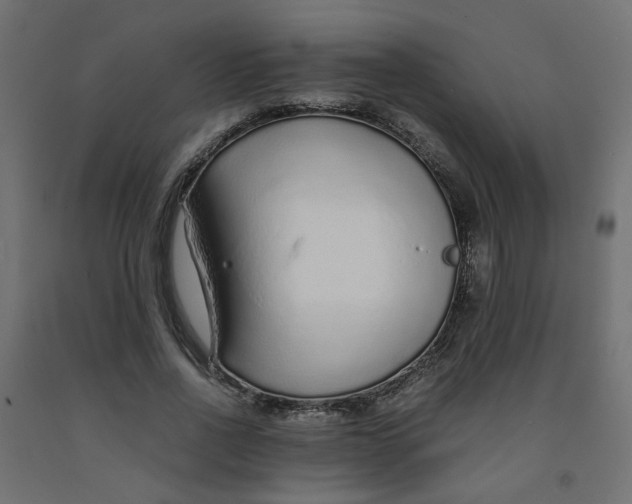 X0000091860734200710031701