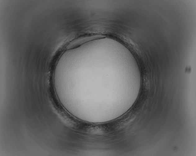 X0000091860735200710031701