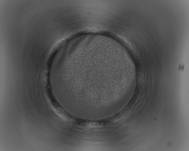 X0000091860736200710031701