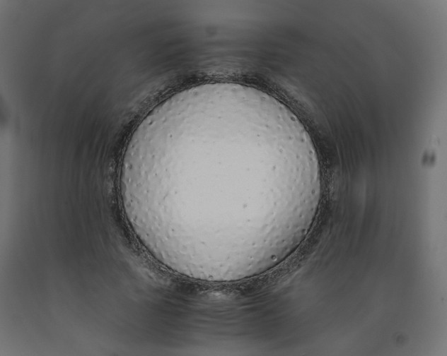 X0000091860737200710031701