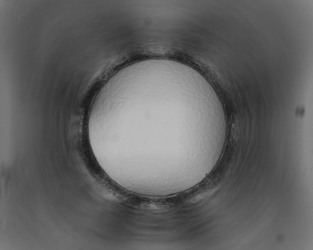 X0000091860739200710031701