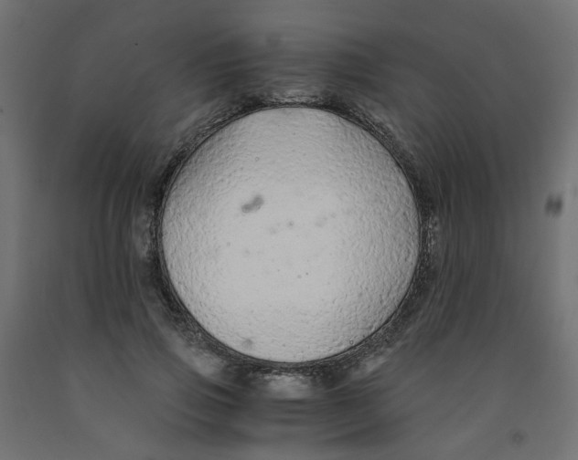 X0000091860741200710031701