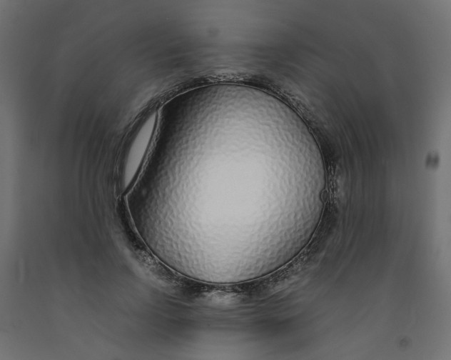 X0000091860742200710031701