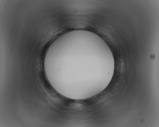 X0000091860743200710031701