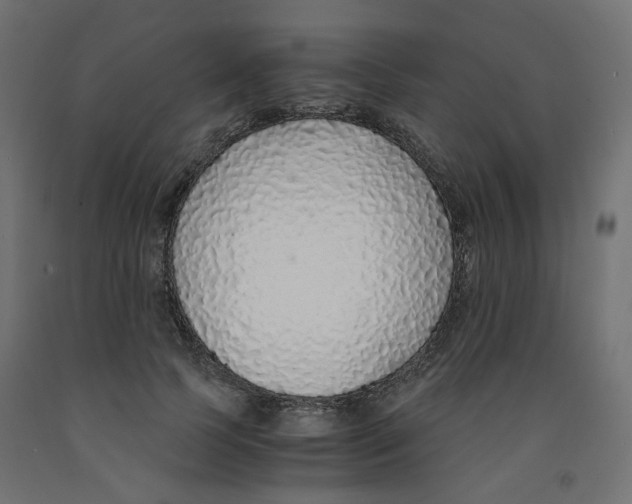 X0000091860745200710031701