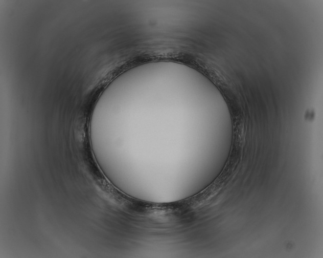 X0000091860746200710031701