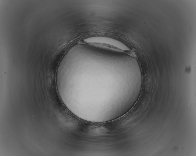 X0000091860747200710031701