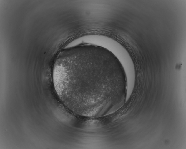 X0000091860748200710031701