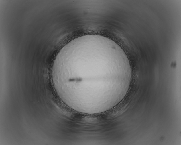 X0000091860749200710031701