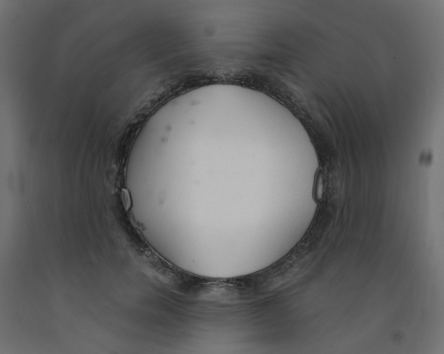 X0000091860750200710031701